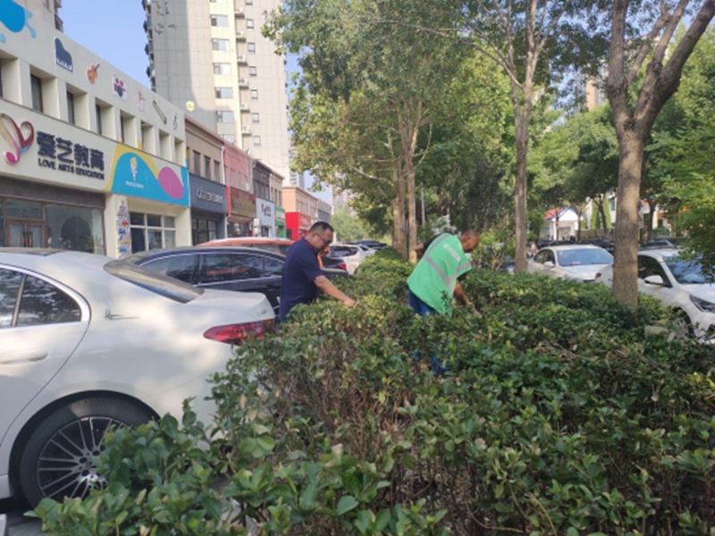 未命名_副本.jpg