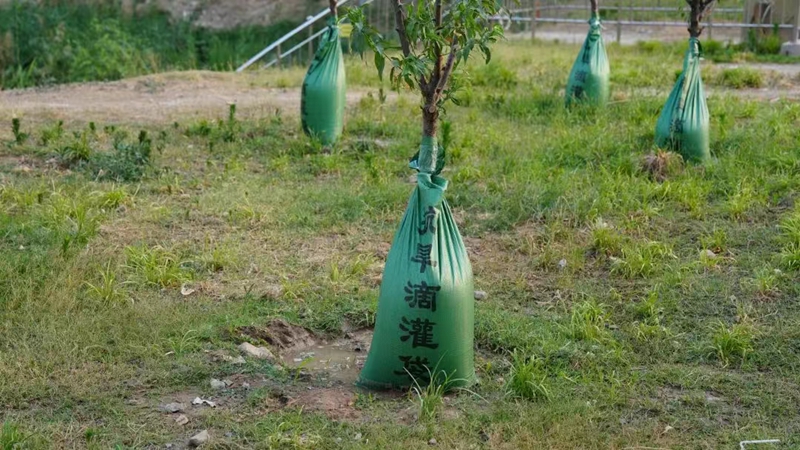 未命名_副本.jpg