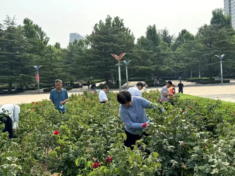 未命名_副本.jpg