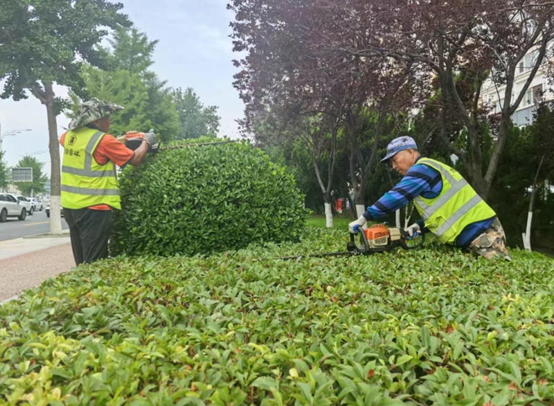 未命名_副本.jpg