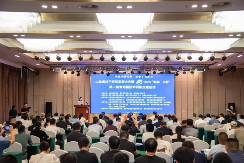 未命名_副本.jpg 未命名_副本.jpg