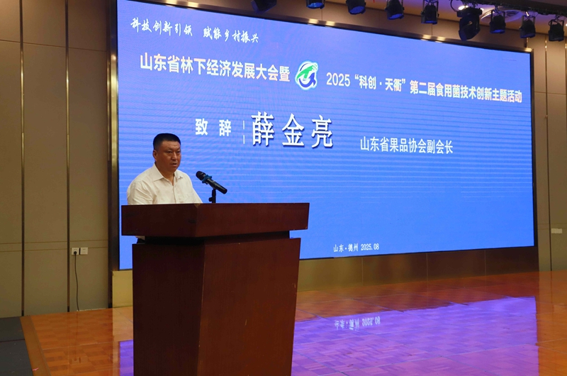 未命名_副本.jpg 未命名_副本.jpg