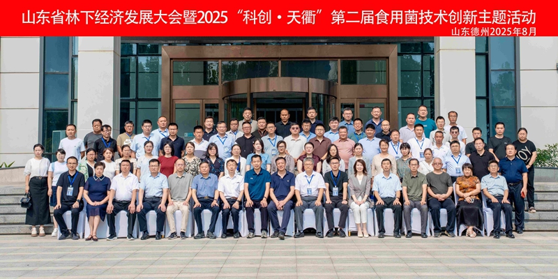 未命名_副本1.jpg 未命名_副本1.jpg