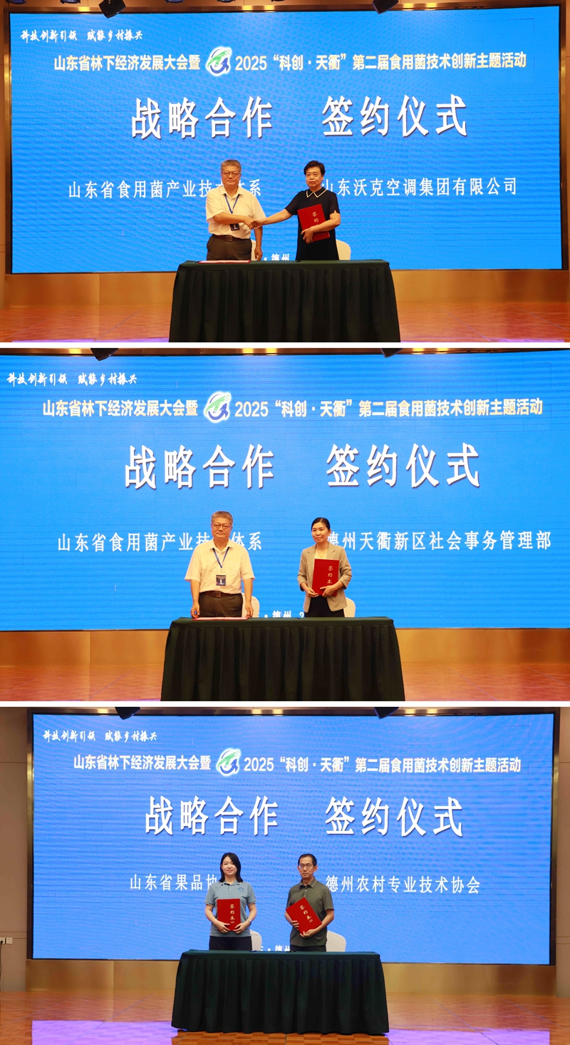 未命名_副本.jpg 未命名_副本.jpg