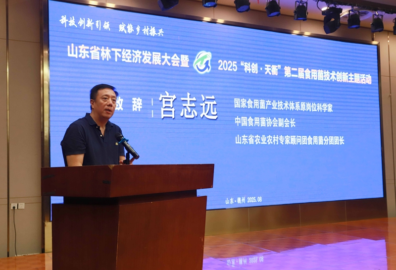 未命名_副本.jpg 未命名_副本.jpg