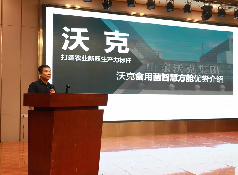 未命名_副本.jpg 未命名_副本.jpg