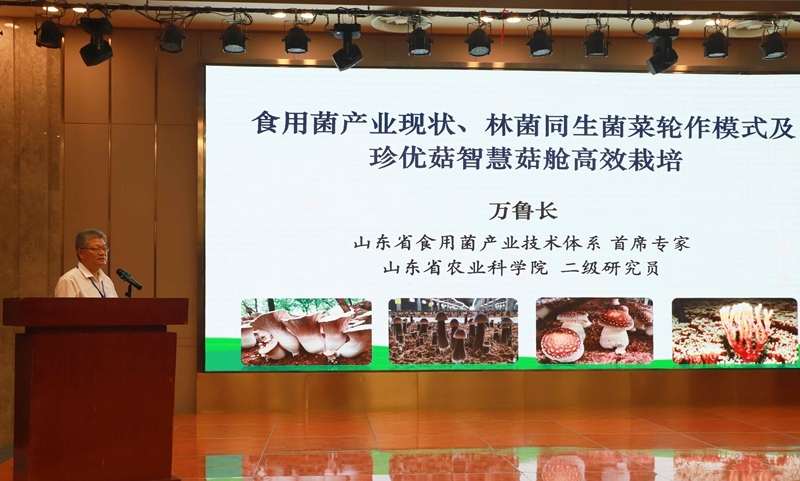 未命名_副本.jpg 未命名_副本.jpg