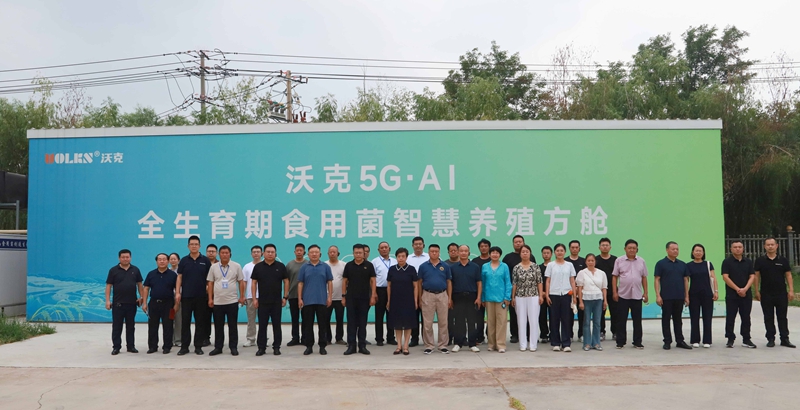 未命名_副本.jpg 未命名_副本.jpg