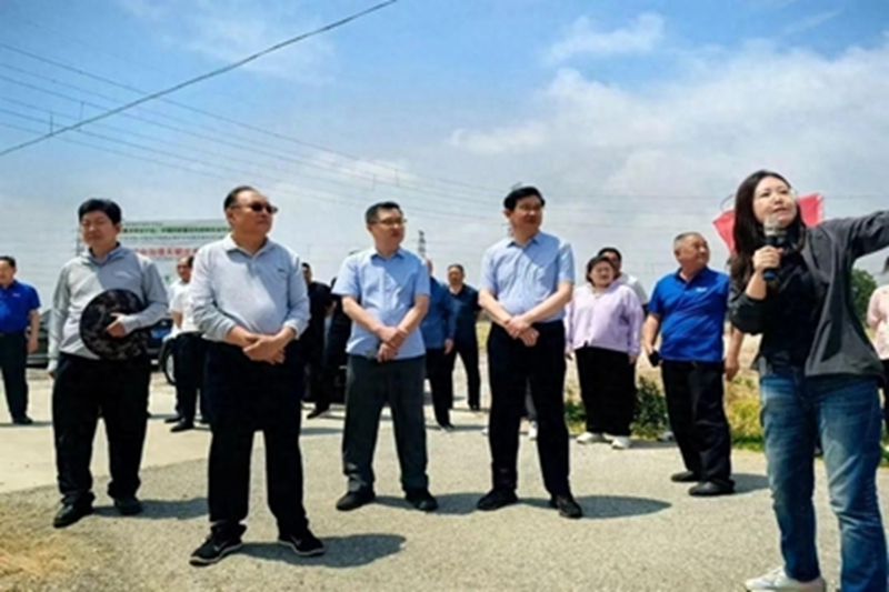 未命名_副本.jpg 未命名_副本.jpg