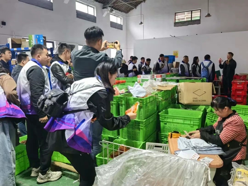 未命名_副本.jpg 未命名_副本.jpg