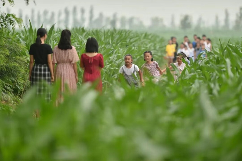 未命名_副本.jpg 未命名_副本.jpg