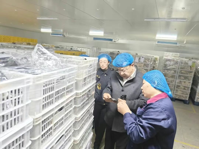 未命名_副本.jpg 未命名_副本.jpg