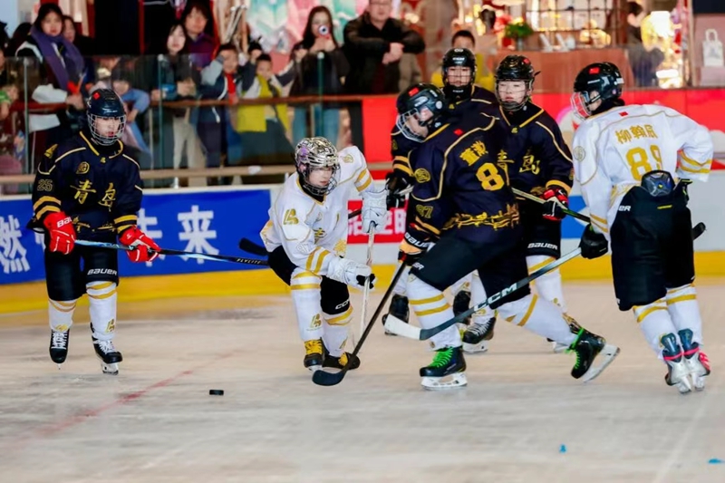 未命名_副本.jpg 未命名_副本.jpg