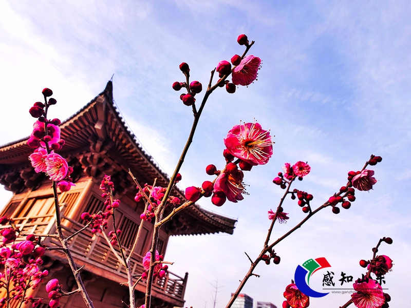 IMG_20260213_221233.jpg IMG_20260213_221233.jpg