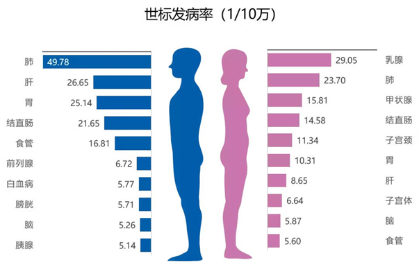 微信图片_20220610113859.png