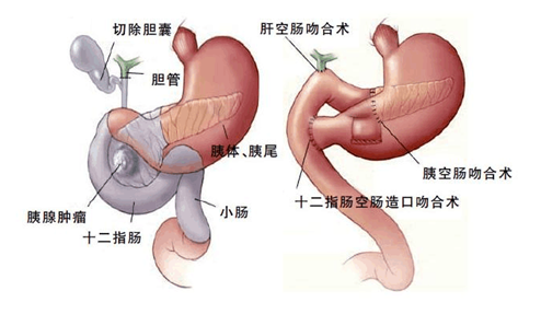 微信图片_20220805112045.png