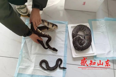 微信图片_20230219185640.jpg